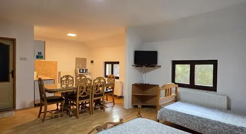 STD "Vila Bor"