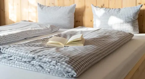 Alps Hostel