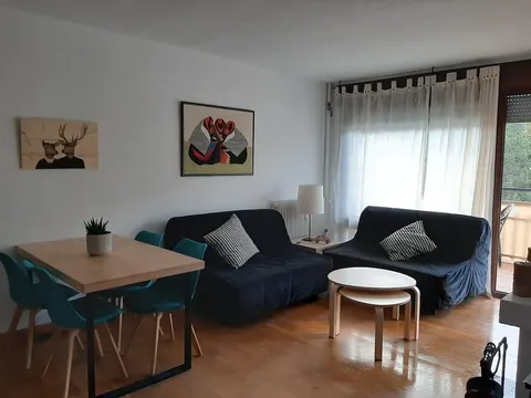 Cozy apartment in La Molina