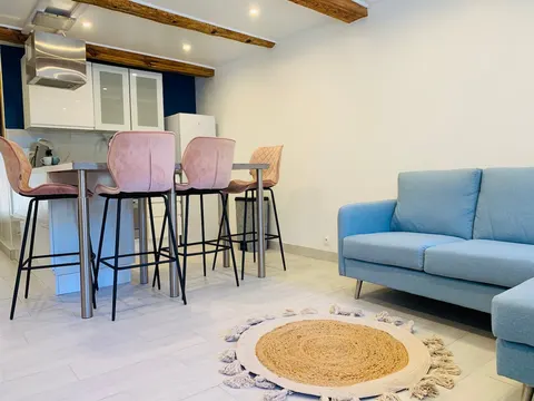 Cocooning apartment in Tende