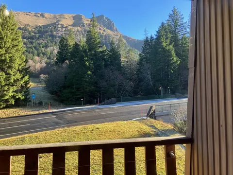 Chalet-style apartment, mountain view, sleeps 1 to 6 - Mont-Dore