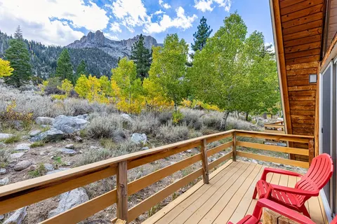 Four Seasons Cabin 1 with enchanting forest views