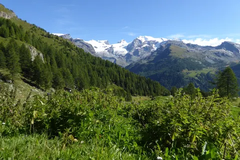 Family Apartments Le Chalet